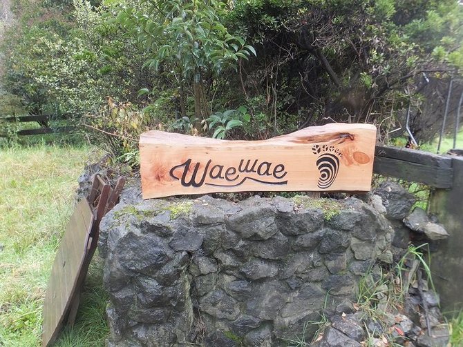 ニュージーランド体験　Waewae