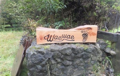 ニュージーランド体験　Waewae