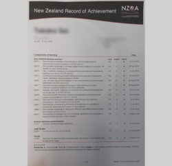 NZQA Childhood Education 資格